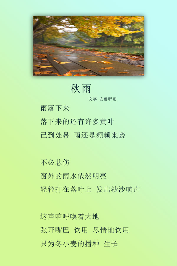 秋雨.jpg